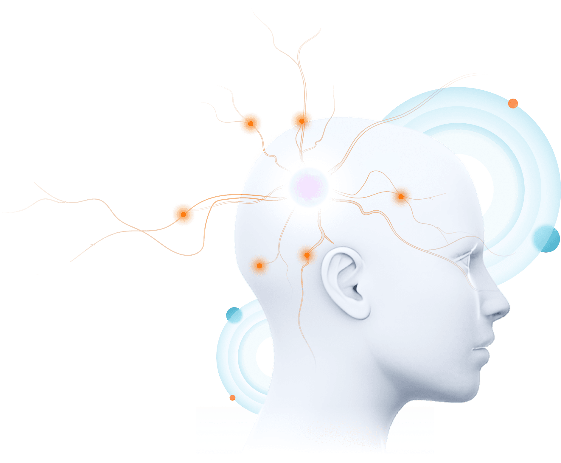 brain learning visual